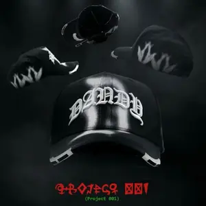 DANDY PROJECT 001 NFC SnapBack HAT GUARANTEED QUALITY