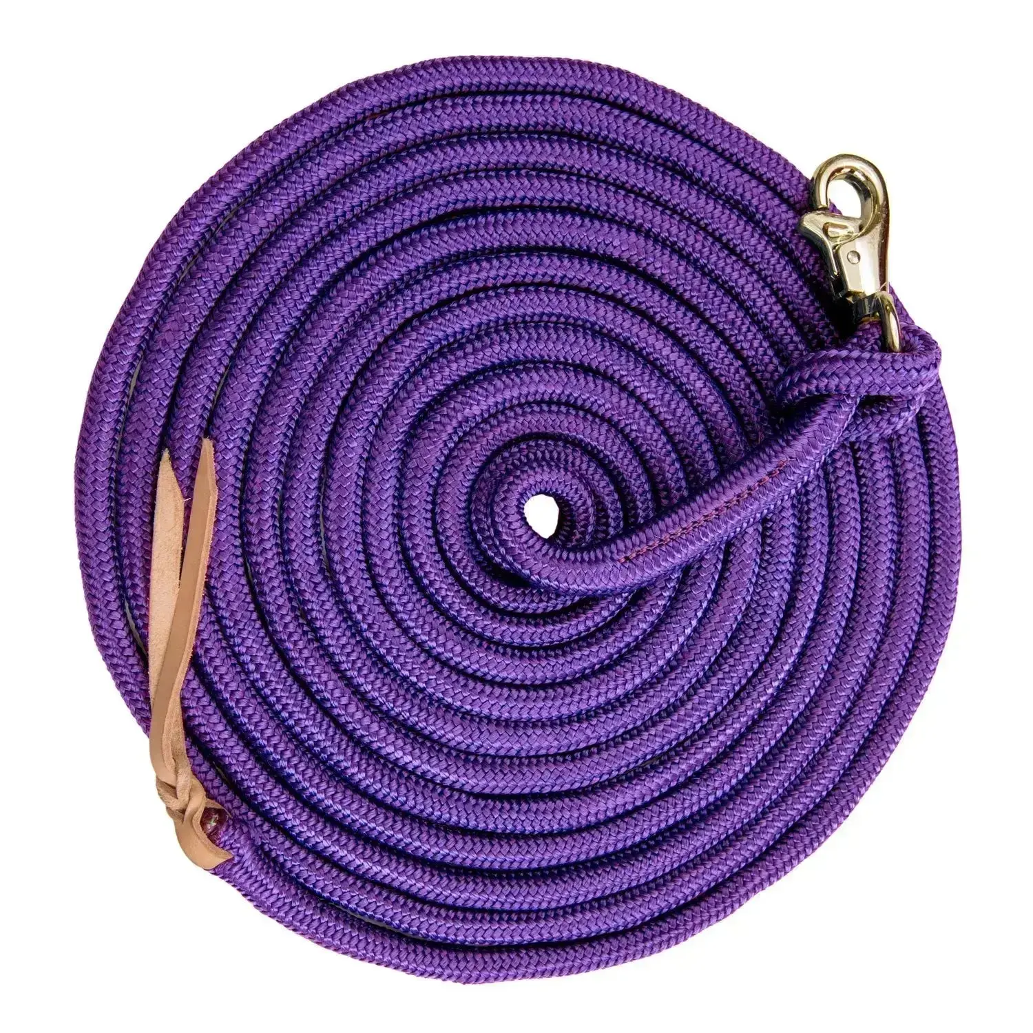 10' Clinician Equine Training Lead
