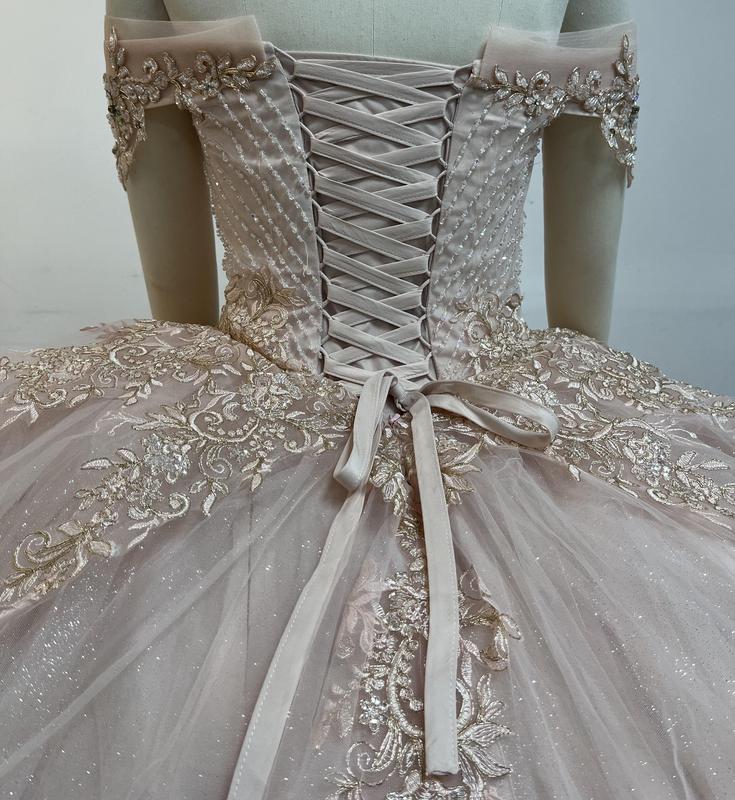 NO.55 Blush Champagne Offwhite Ball Gown Dress Crystal Beading and Sequin Appliqué Glitter Tulle Quinceañera Dress