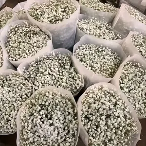 100 pcs of High-End Artificial Roses, Artificial Youth Breathing Flowers, Plastic And Plaster Bouquets with Stems, Realistic Touch, Anti-Oxidation, Suitable for Home, Outdoor, Living Room, Restaurants, Gardens, Wedding Dec Decor Decorative Fruit Plant