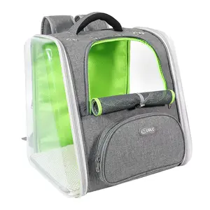 Large Capacity Transparent PET Backpack