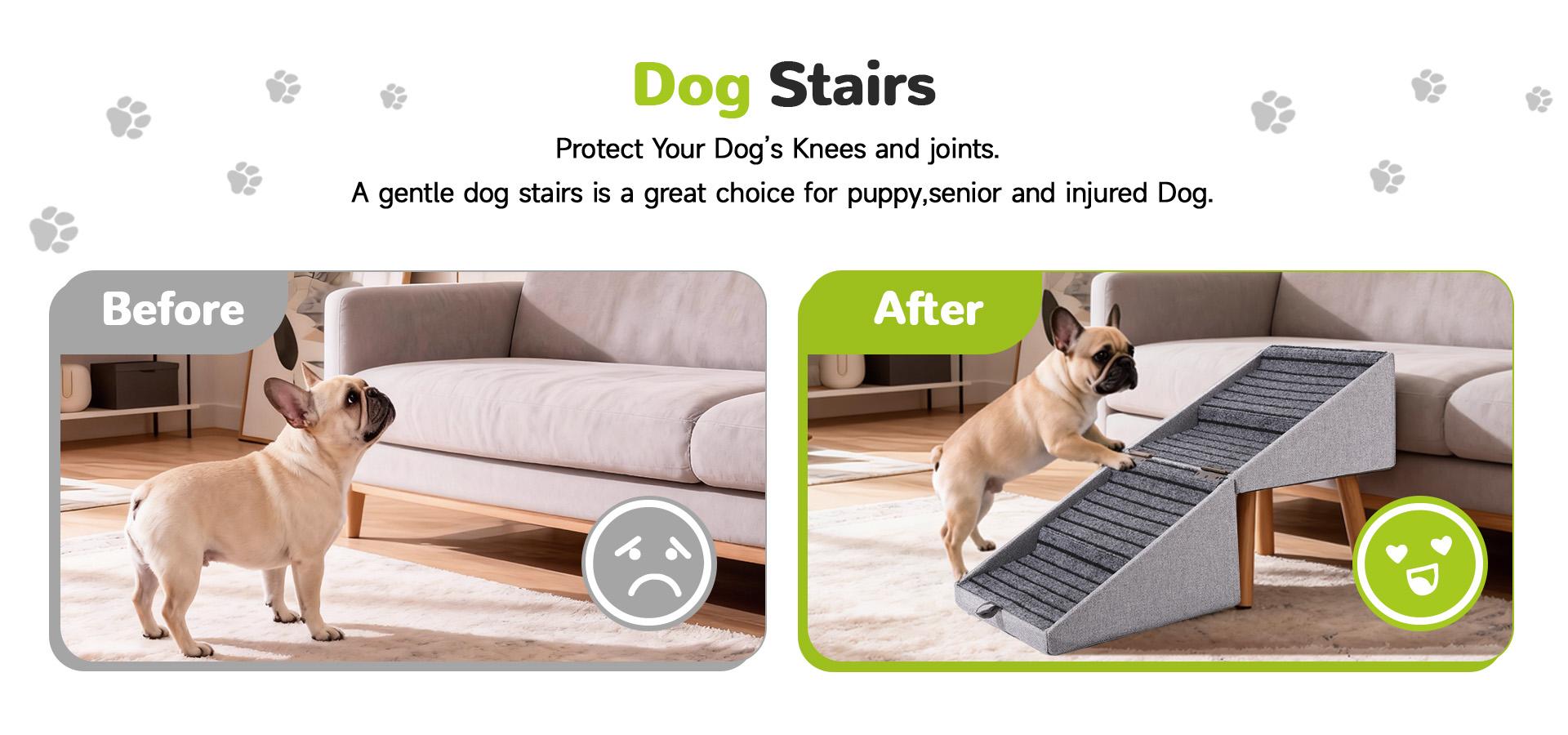 17-Inch Convertible Dog Stairs and Ramp