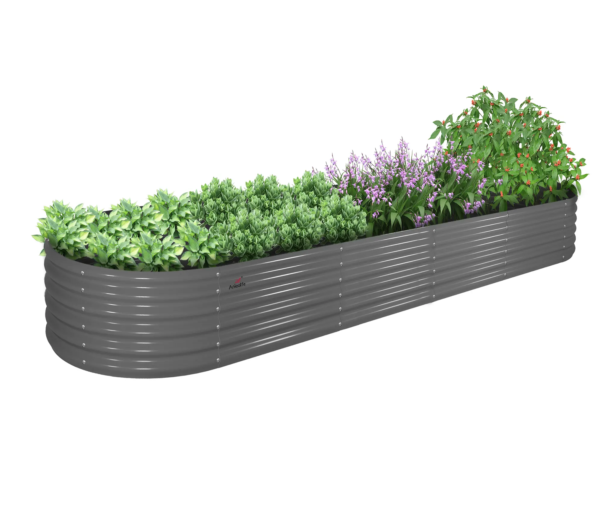 【20-Year Lifespan】A ANLEOLIFE Metal Raised Garden Bed 12x3x1.5ft, Oval Galvanized Planter Box, Large Outdoor Garden Bed with Open Bottom Design for Vegetables Flowers Herbs, Easy Setup