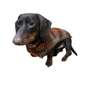 Dachshund Winter Hoodie with Faux Fur Hood Thermal Dog Sweater Cold Weather Fashion for Long Bodied Breeds
