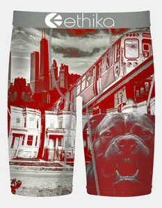 ETHIKA Off The Porch Staple Mens Boxer Briefs