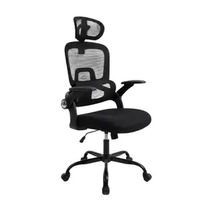 Ergonomic Office Chair with Flip-up Arms, Lumbar Support Headrest,adjustable headrest for all-day comfort (Black)
