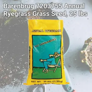 Barenbrug 7203755 Annual Ryegrass Grass Seed, 25 lbs