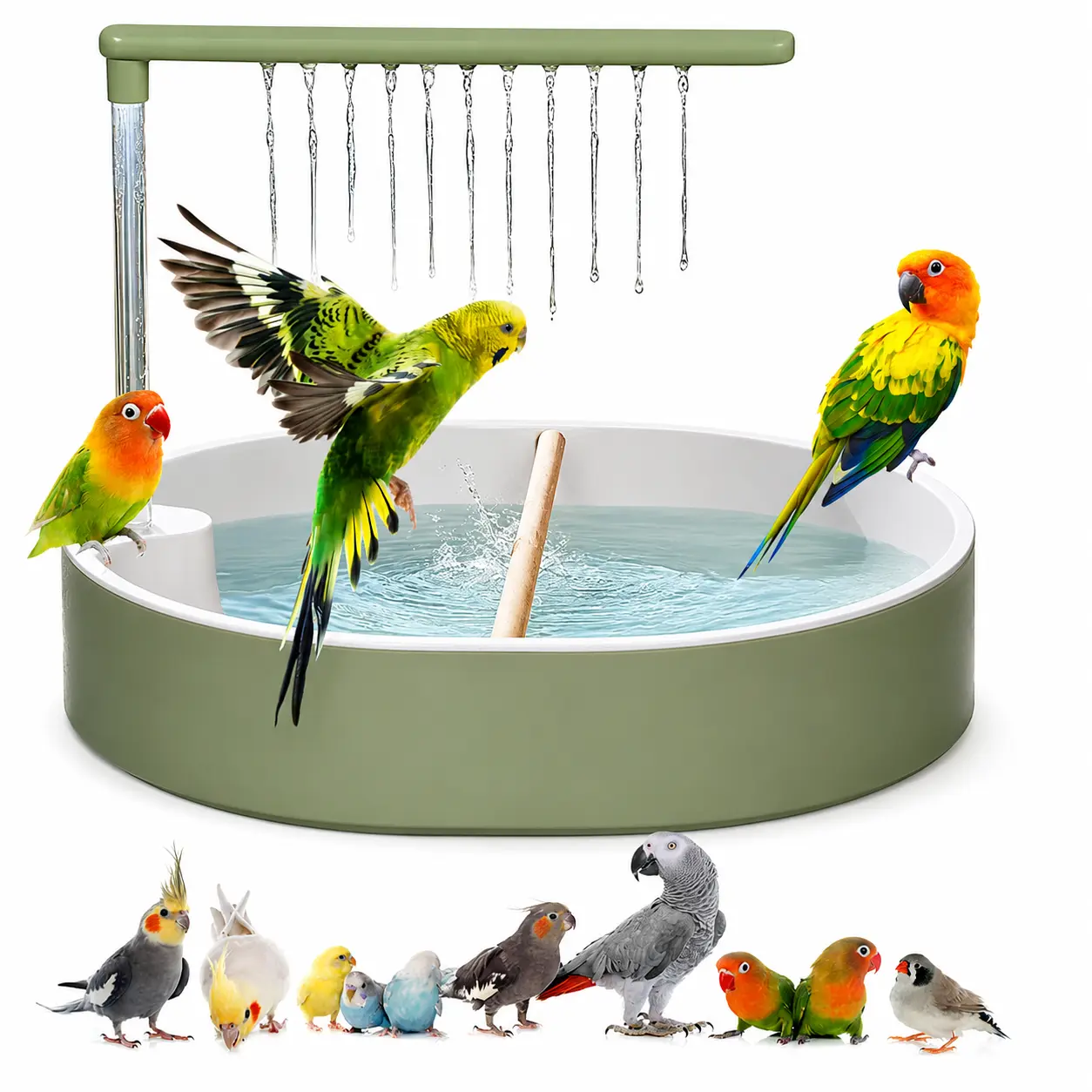 Parrot Bathtub Bird Automatic Bath Shower,Large Bird Shower Fountain Indoor Bathtub with Running Water, Contains USB and Pump,for Pet Birds, African Grey, Cockatiel, Conure, Budgie, Lovebird(Fashion) perch wooden