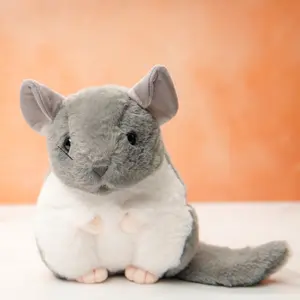 Grey Plush Chinchilla Toy Educational Gift Set