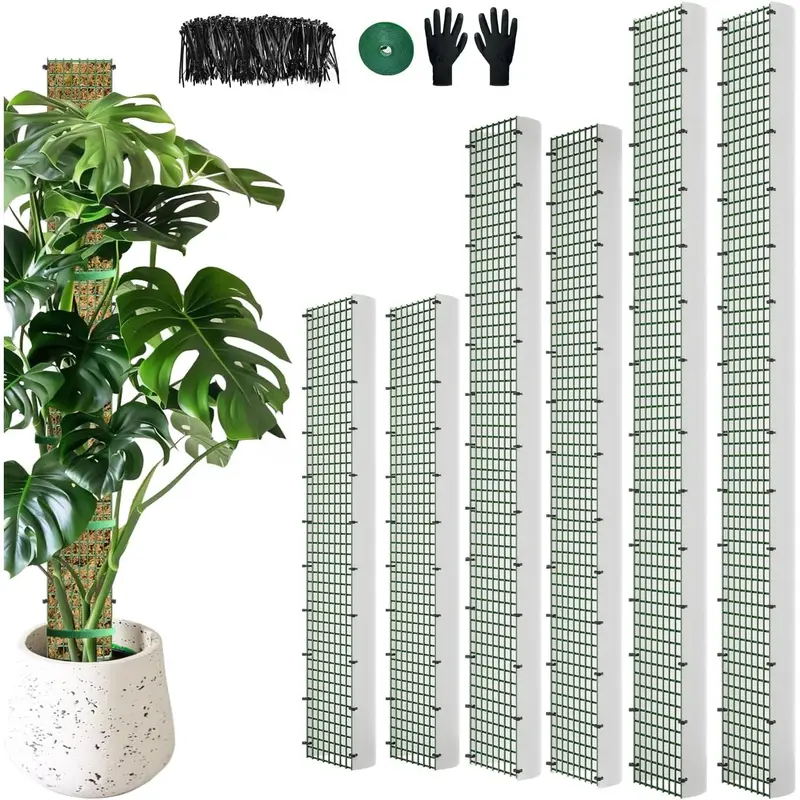 succulent plant in pot White Succulent and Cactus Ceramic Trough Plant Pot  Selections