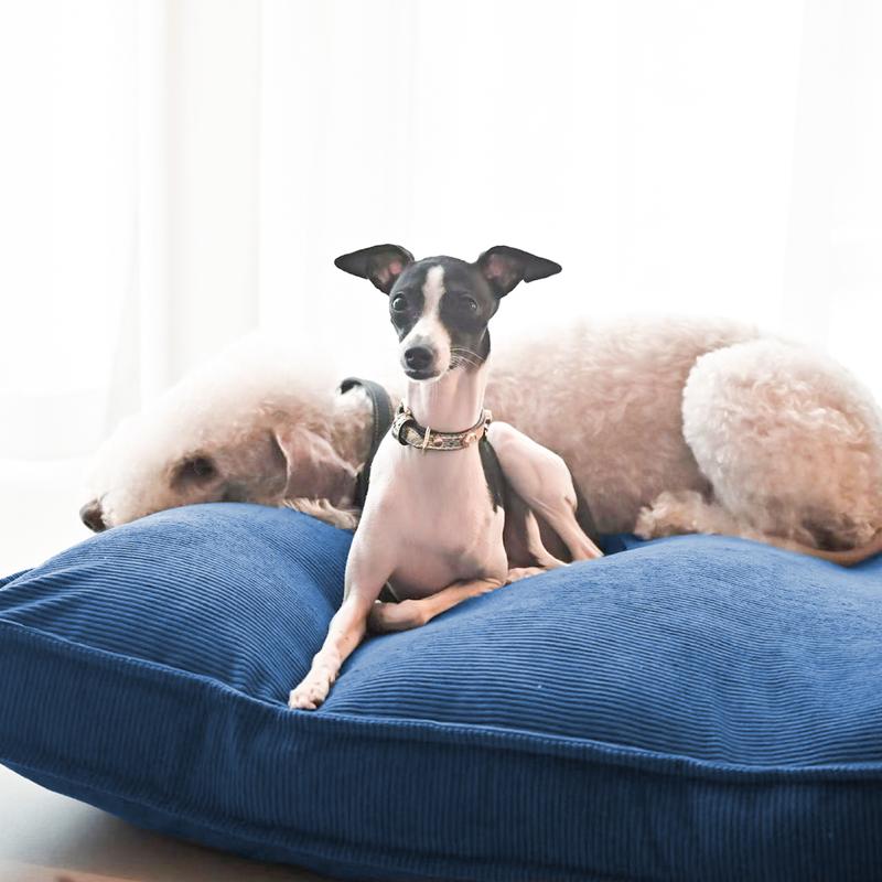 Dog Bed for Medium & Large Dogs Extra Large Removable Washable Cover All Season Comfort Cozy Pet Furniture Stylish Accessory Sturdy Construction