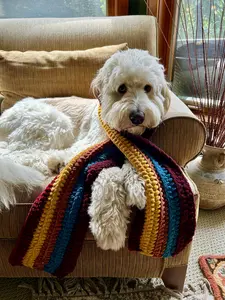 Game Changer Inspired Crochet Scarf