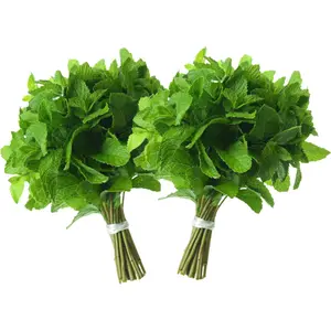Fresh Mint (Pudina) Leaves - 2-4oz Pack of 2 - Rani Brand Authentic Indian Products