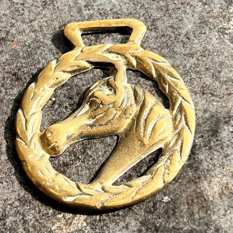 Vintage Horse Brass Medallion Necklace
