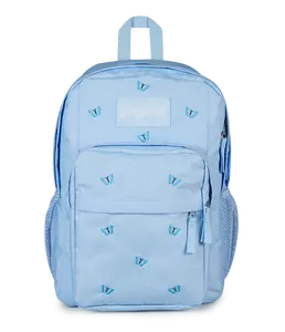 JanSport Unisex Big Plans