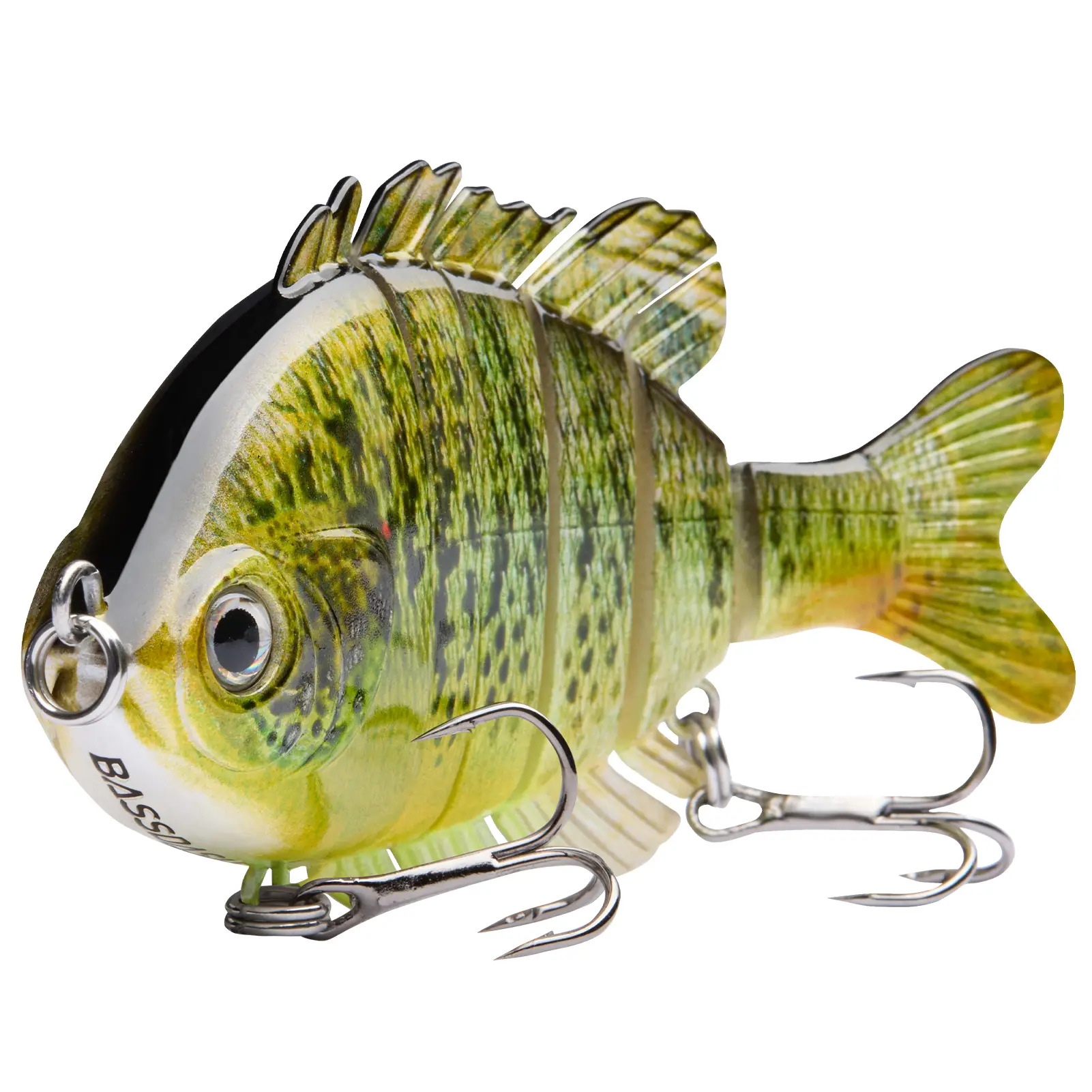 Green Pumpkinseed