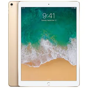 Refurbished Apple iPad Pro 12.9" (2nd Gen) A1670 (WiFi) Excellent Condition with 1 Year Warranty