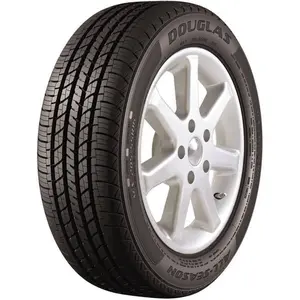 Douglas Touring A/S 205/55R16 91H All-Season Tire