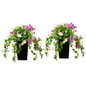 Set of two 6 Artificial Morning Glory Stems with 2 Black Pots — Indoor & Outdoor Faux Floral Decor for Hallways Entrances Garden Corners and Spring Summer Settings