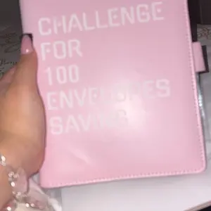 100 Envelopes  Saving Challenge - A5 Money Saver Budget Binder Book with Cash Envelopes and Numbers, 100-Days of Easy and Funny Ways to Save $5,050 Cash Envelope Challenge Binder, Pink
