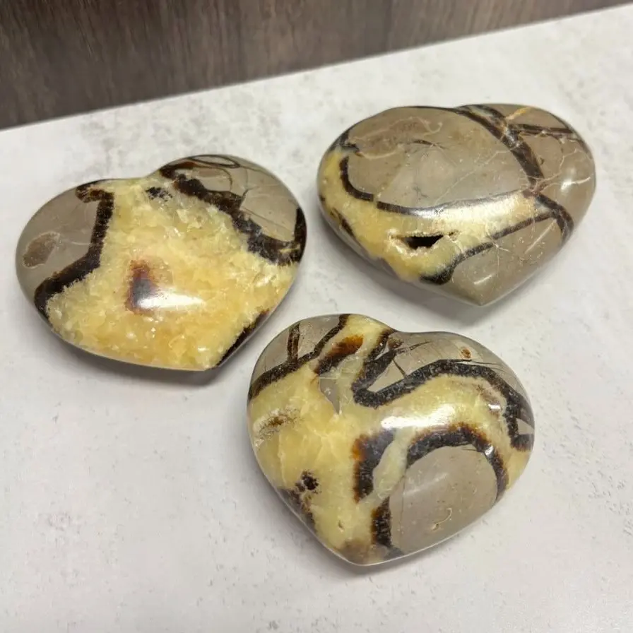 Septarian