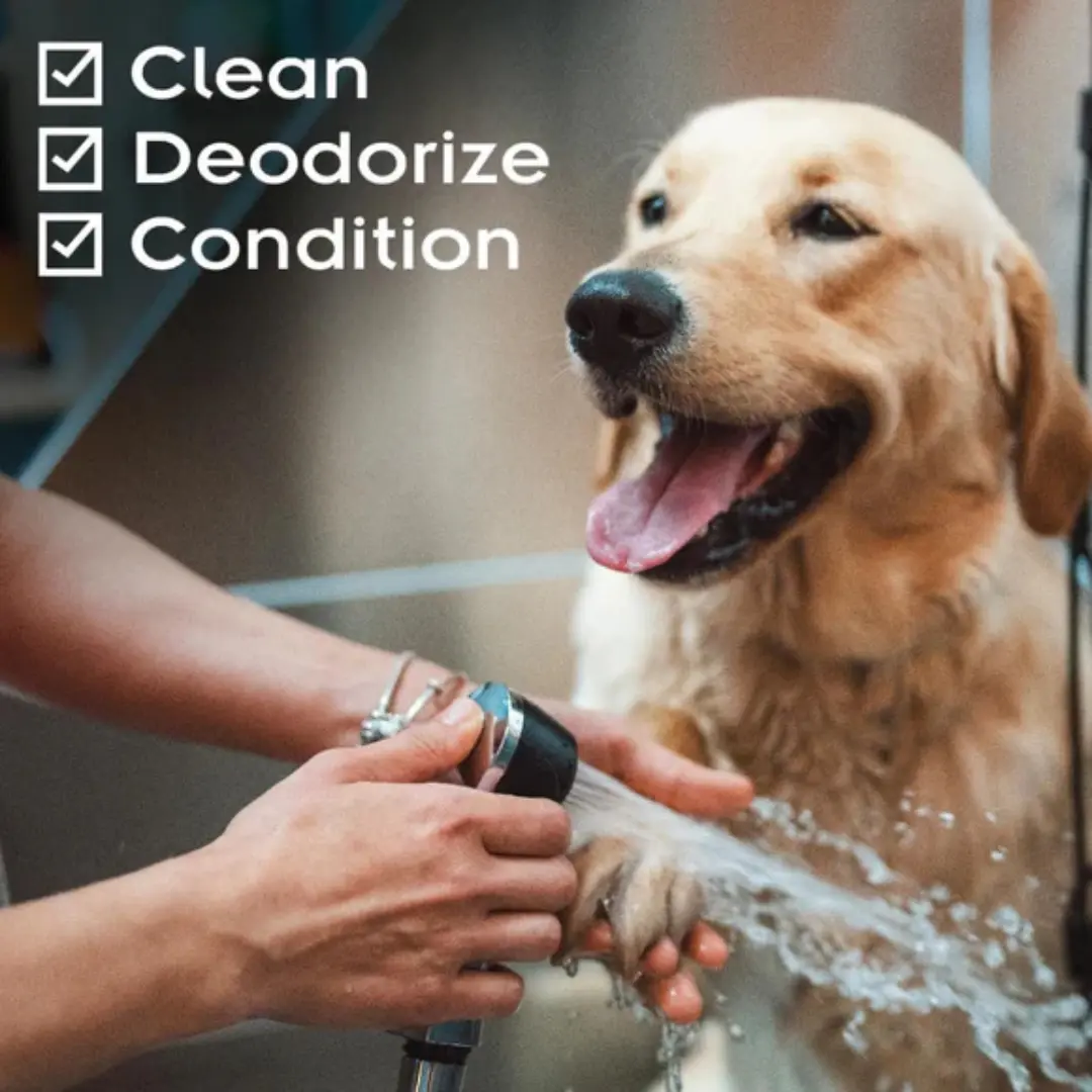 Zymox Enzymatic Dog & Cat Shampoo - 12 oz Bottle, Natural Grooming Bath Solution with Enzymatic Cleanse, Skin Irritation Relief, Leave-Lather Function for Kittens, Puppies