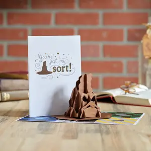 Harry Potter™ You're Just My Sort Pop-Up Card