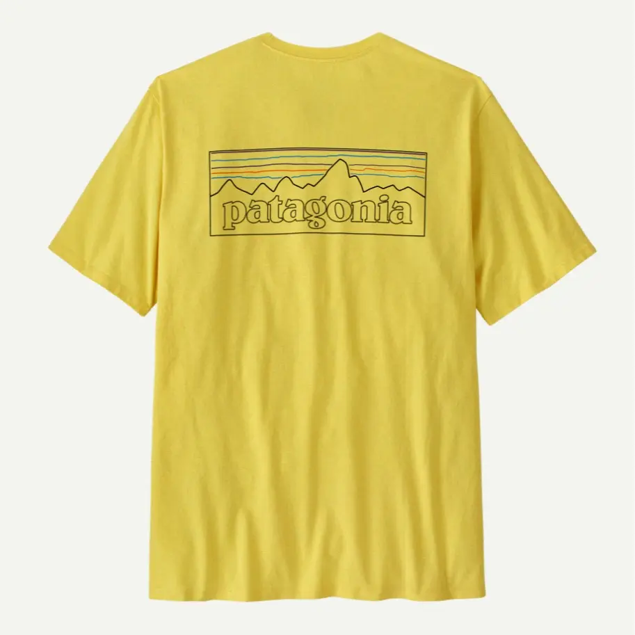 P-6 Outline: Lemon Zest