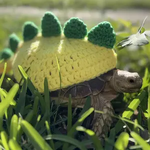 Knitted Turtle Clothes Pet Supplies Warm Cute Water Turtle Leopard Turtle Brazilian Turtle Grass Turtle Shell Decoration