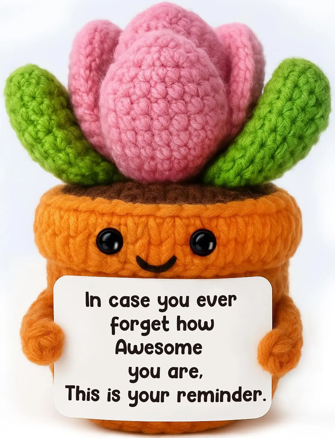 Daily Affirmation Little Reminder Crochet Succulent Plush with Inspirational Card You are Awesome  Knitted  for Students, Women Friends, Coworkers, Family