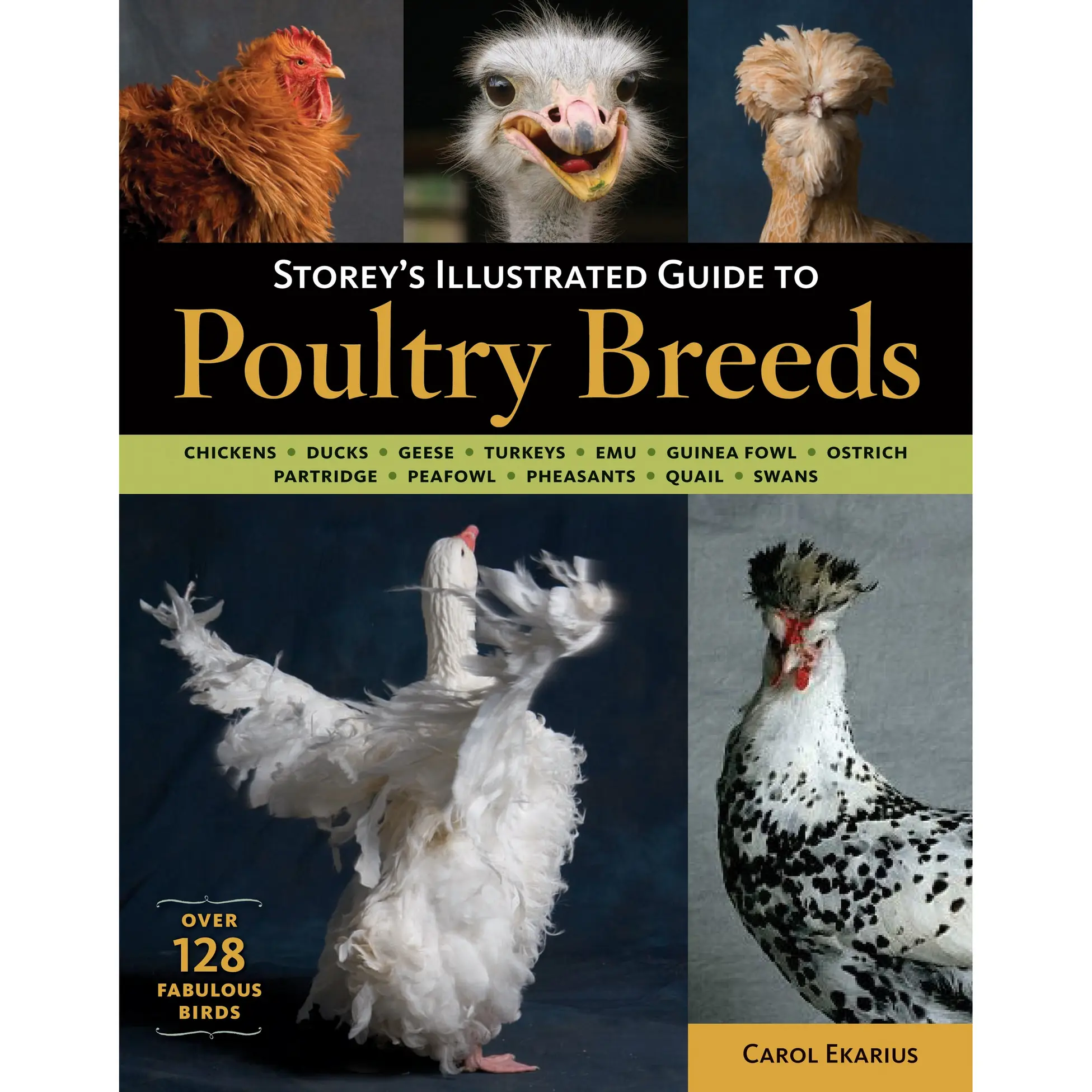 Storey's Illustrated Guide to Poultry Breeds by Carol Ekarius [Paperback Book]