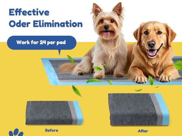 Portable Multi-Purpose Pet Pee Pads  Multiple sizes and styles ， Universal Training Pads for Dogs & Cats, All-Scene Fit for Travel, Crates & Litter Boxes