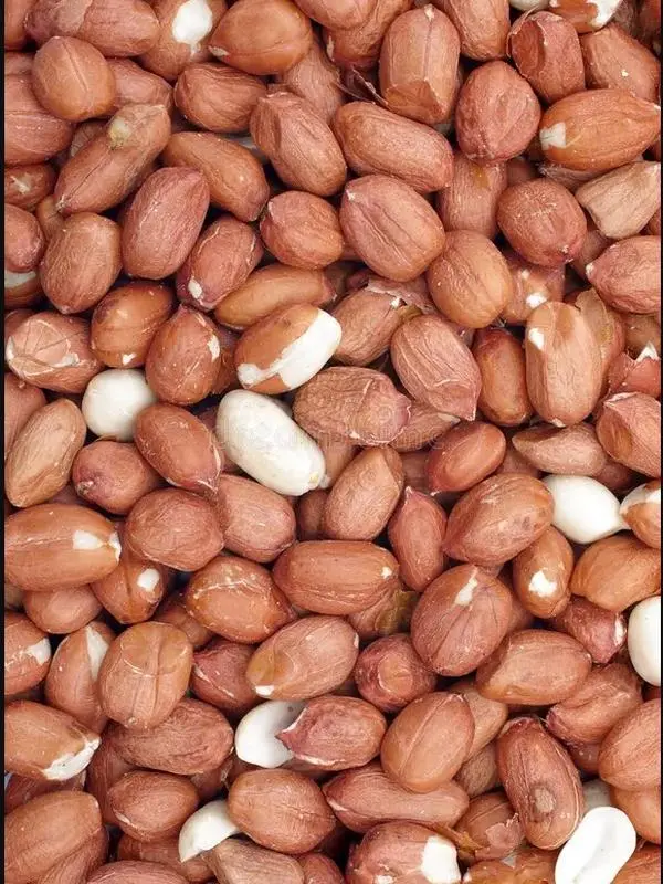 Pure Peanuts, Raw - Natural Plant-Based Gluten-Free Snack for Boiling, Roasting, Baking, Chutney, 1-10lbs