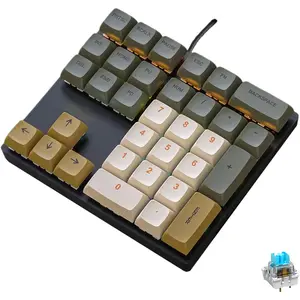 Mechanical Numpad Rainbow Backlit Clicky Blue Switches Wired USB Number Pad 33-Key NKRO Numeric Keypad with XDA PBT Keycaps External Keyboard Num Pad for Laptop,  - Brown Grey