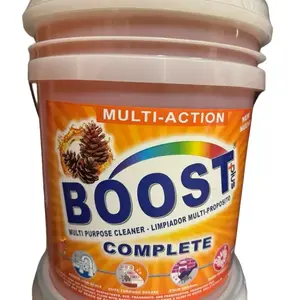 Pinol multi-acción Laundry para piso