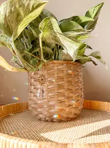 Daisy Plant Vine Charm - Hanging Sun Catcher for Vines & Trailing Plants - Houseplant Accessory - Indoor Garden Art - Brass Flower