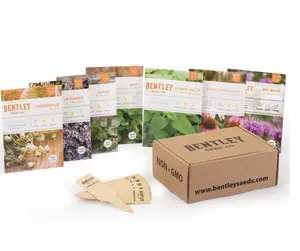 Medicinal Herbs Seed Packet - Kit