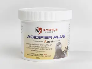 GENERIC Kastle Bird Acidifier Plus (250g) - Buffered Bird Acidifier with Probiotics, Enzymes, Electrolytes, Gut Health Support, Hydration Boost, Digestive Aid, Stress Management, Boosts Immune Function