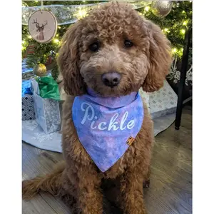 Glitter Galaxy Bandana