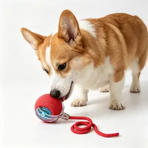 Cat&Dog Toy Interactive Ball for Indoor Cats Fast Rolling on Carpet Chirping Motion Activate USB Rechargeable Anti-Depression Fun Gift for Cats Dogs