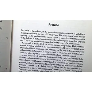 USED-In Search of the Neanderthals: Solving the Puzzle of Human Origins by Christopher Stringer (Hardcover)