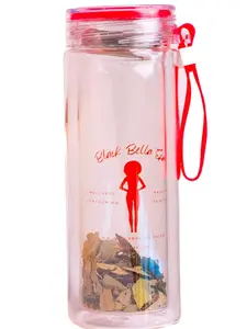 Glass Tea Infuser Bottle - double pane with handle Drinkware Transparent