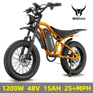 【BIGNIU BG-S】Electric Bike for Adults – 20" Fat Tire, Peak 1200W Motor, 48V 15A Battery, 7-Speed, Dual Disc Brakes for Off-Road and City Riding BG-S