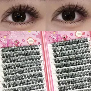 Cosmetic False Lashes That Can Be Directly Pasted without Glue - 240 Clusters, DIY Eyelash Extensions, Natural Appearance, Anime Eyelash Clusters, Slender Korean-style Makeup Eyelash Clusters, Easy To Apply, Glue-free False Eyelashes