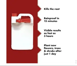 Weed & Grass Killer - Ready-to-Use, Kills Weeds and Grasses Down to the Root, 1 Gal