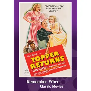 Topper Returns  [DVD Video Disc]