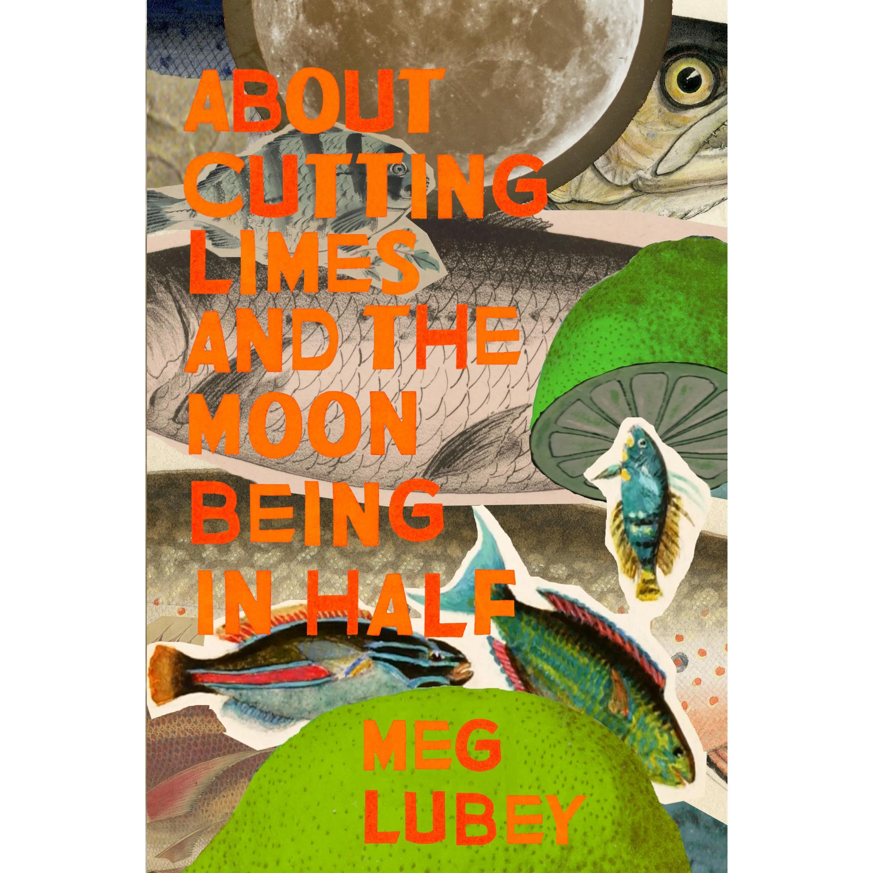 About Cutting Limes and the Moon Being in Half, by Meg Lubey
