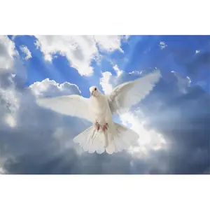 Posterazzi  A Dove in The Sky Poster Print by Don Hammond, 17 x 11