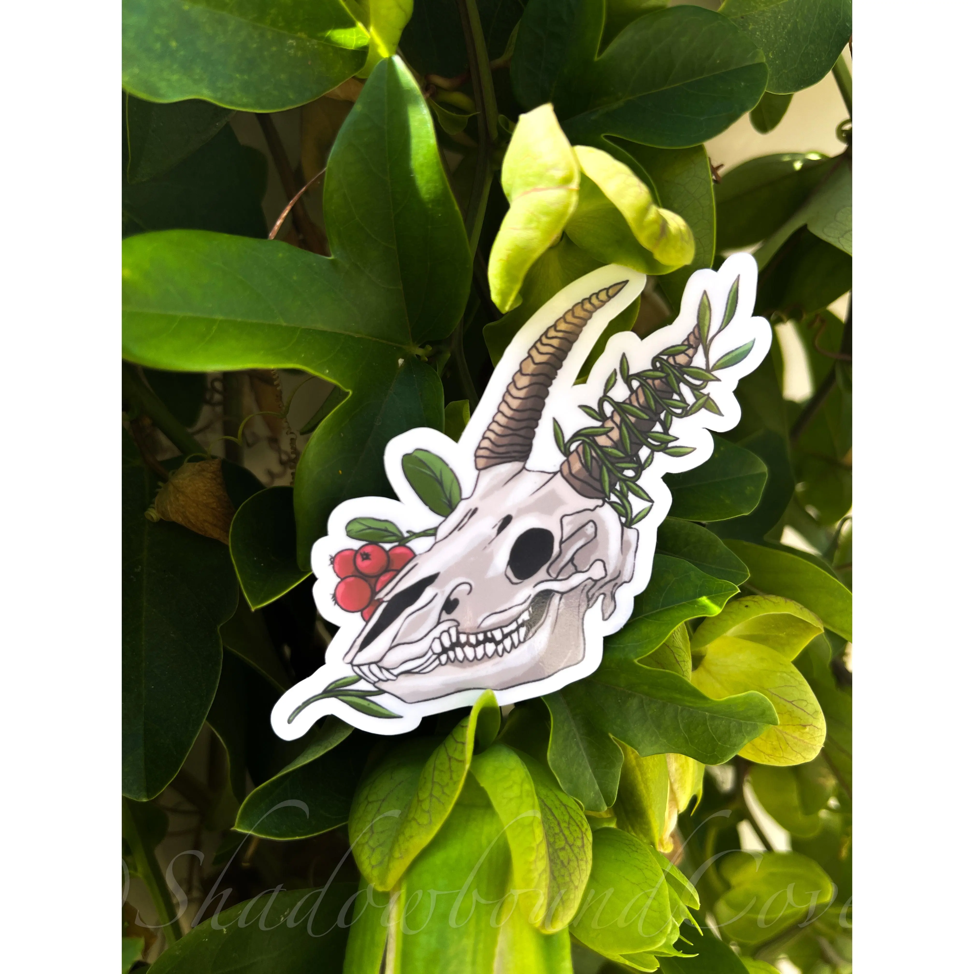 Skull with Vines/berries - Waterproof vinyl sticker/decal