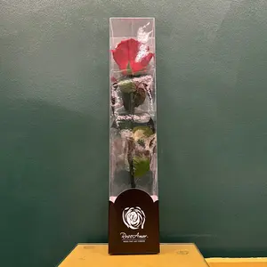 Ecuadorian Preserved Single Stem Red Rose